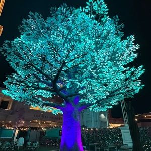 Meet your Posher, Varsha